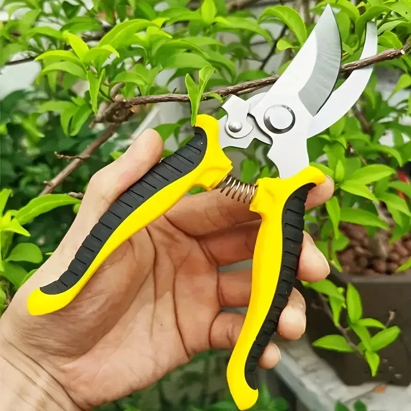Horticultural pruning stainless steel scissor garden tool